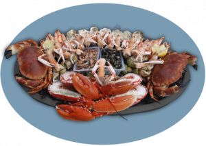 Le Royal, Plateau de fruits de Mer Cancale